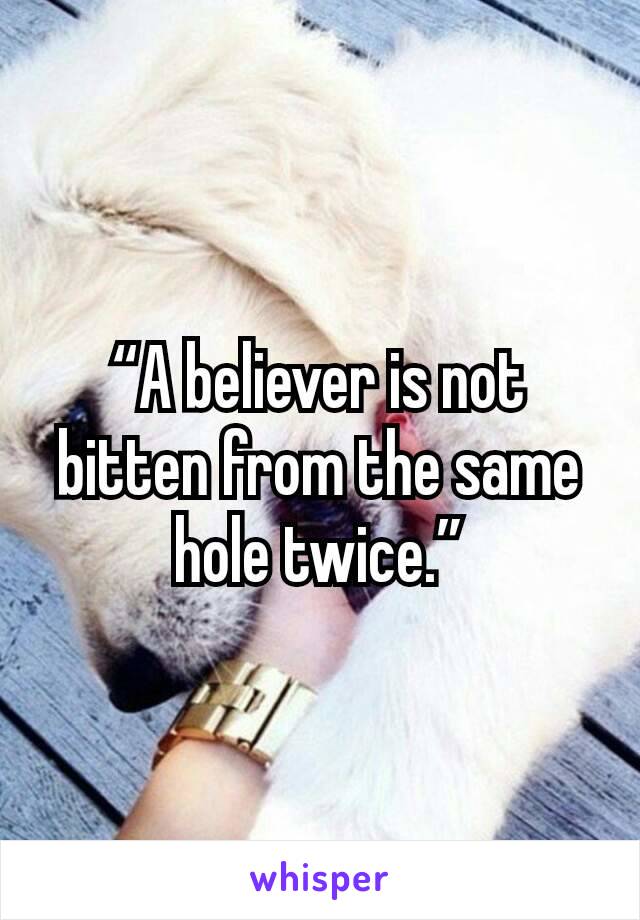 “A believer is not bitten from the same hole twice.”