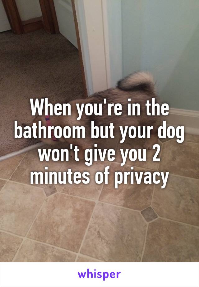 When you're in the bathroom but your dog won't give you 2 minutes of privacy