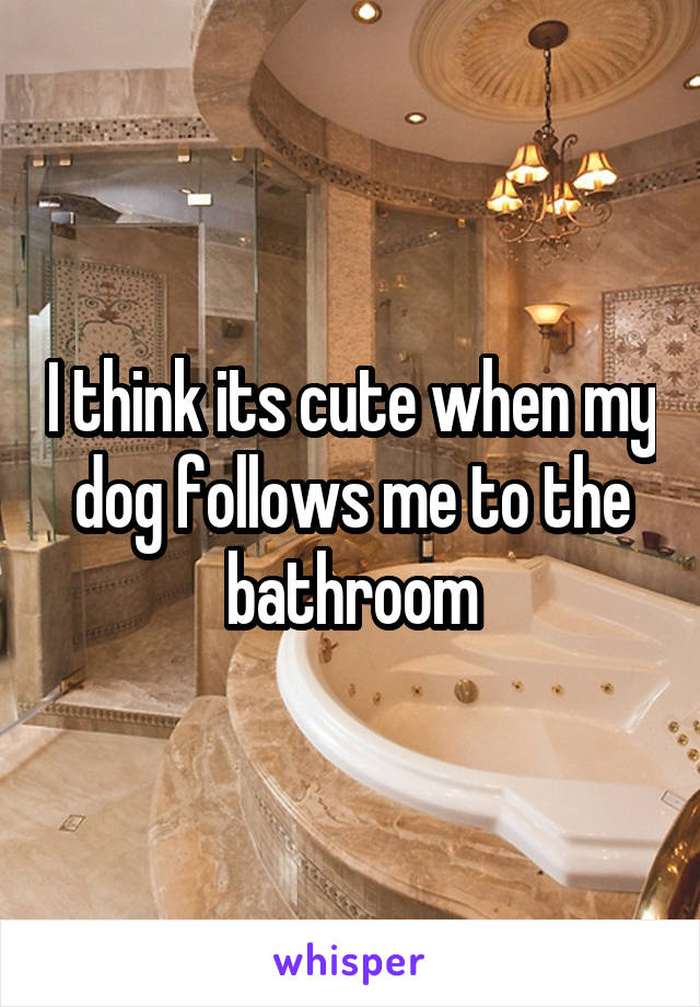 I think its cute when my dog follows me to the bathroom