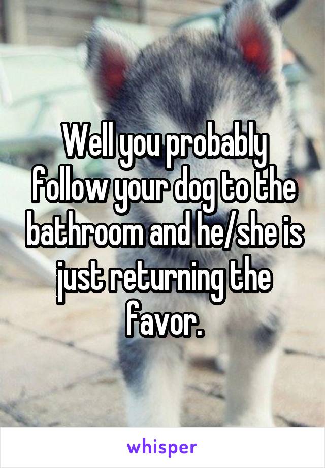 Well you probably follow your dog to the bathroom and he/she is just returning the favor.