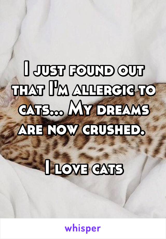 I just found out that I'm allergic to cats... My dreams are now crushed. 

I love cats