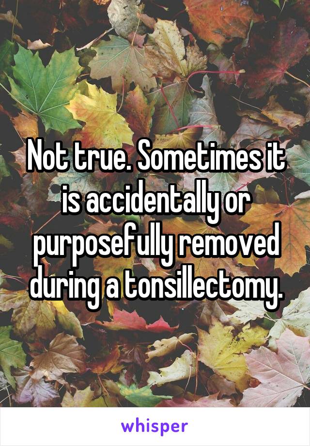 Not true. Sometimes it is accidentally or purposefully removed during a tonsillectomy.