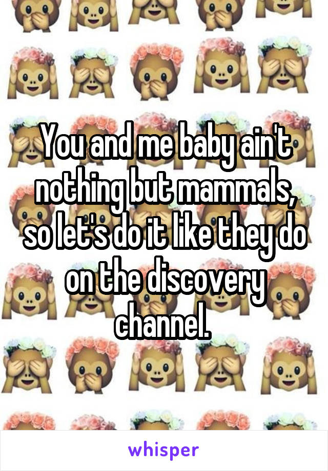 You and me baby ain't nothing but mammals, so let's do it like they do on the discovery channel. 