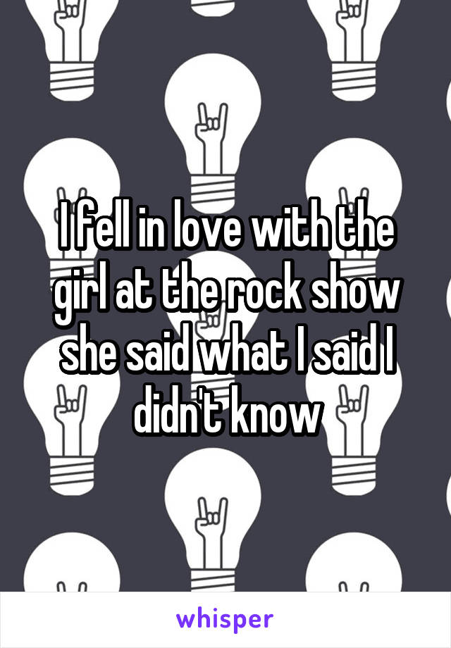 I fell in love with the girl at the rock show she said what I said I didn't know