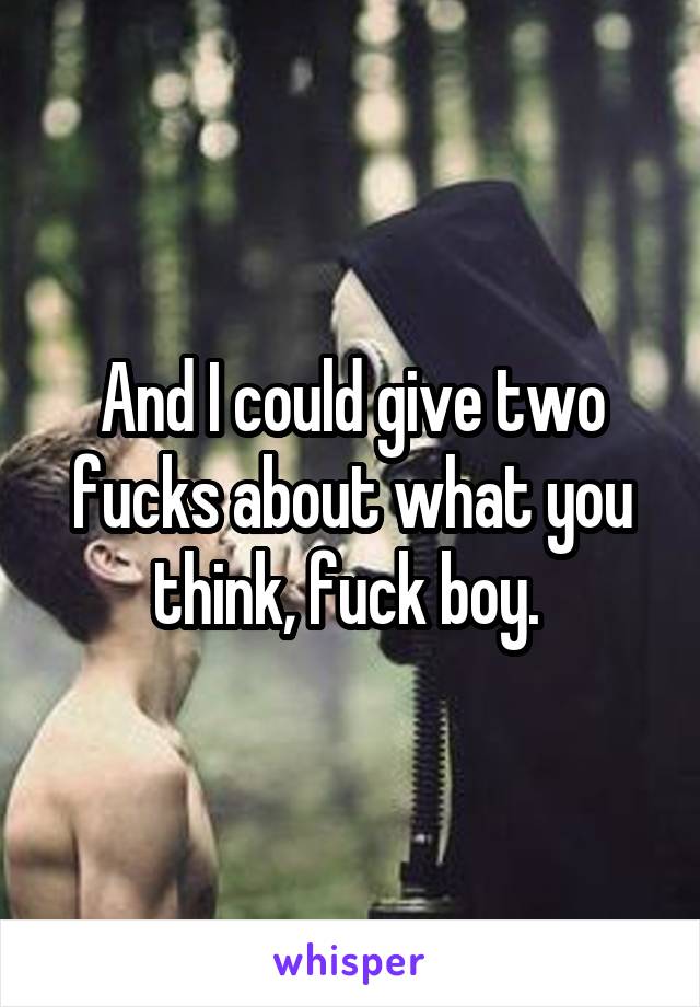 And I could give two fucks about what you think, fuck boy. 