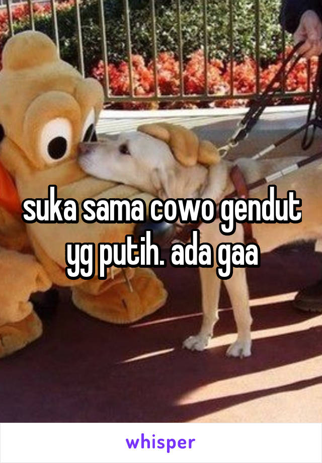 suka sama cowo gendut yg putih. ada gaa