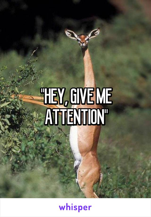 "HEY, GIVE ME ATTENTION"