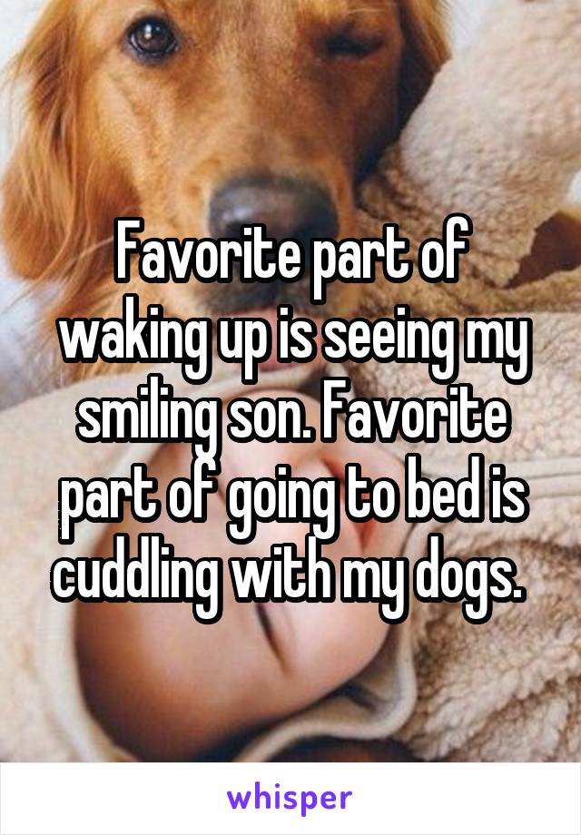 Favorite part of waking up is seeing my smiling son. Favorite part of going to bed is cuddling with my dogs. 