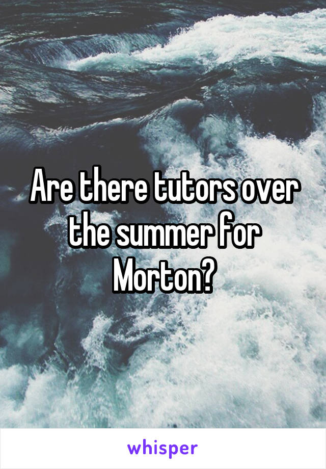 Are there tutors over the summer for Morton?