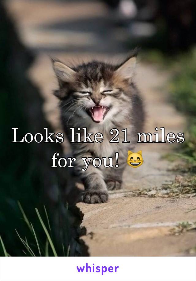 Looks like 21 miles for you! 😸