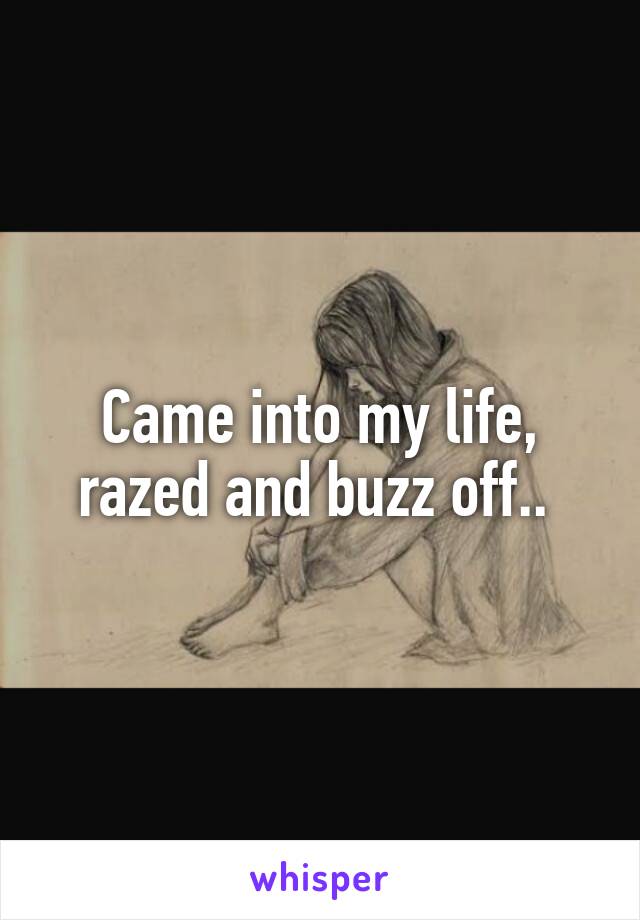 Came into my life, razed and buzz off.. 