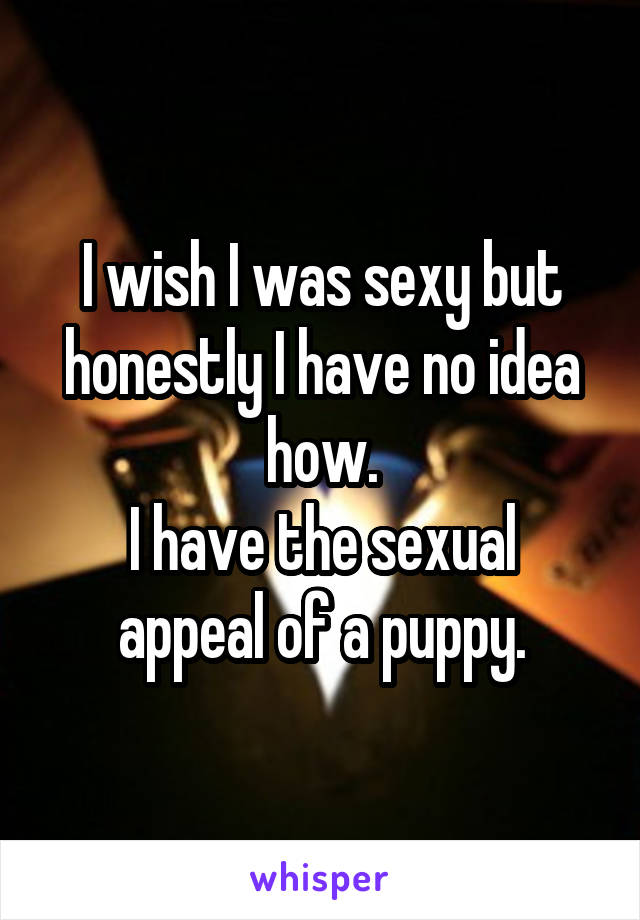 I wish I was sexy but honestly I have no idea how.
I have the sexual appeal of a puppy.