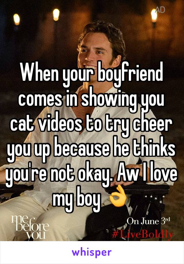 When your boyfriend comes in showing you cat videos to try cheer you up because he thinks you're not okay. Aw I love my boy 👌