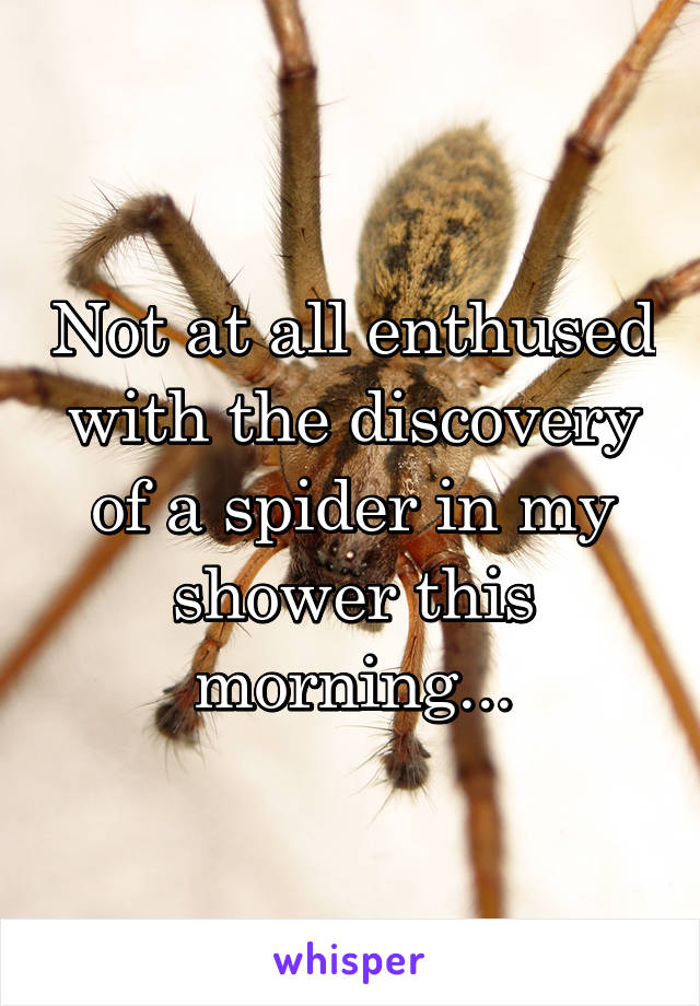 Not at all enthused with the discovery of a spider in my shower this morning...