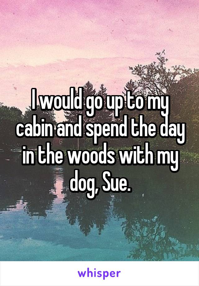 I would go up to my cabin and spend the day in the woods with my dog, Sue.