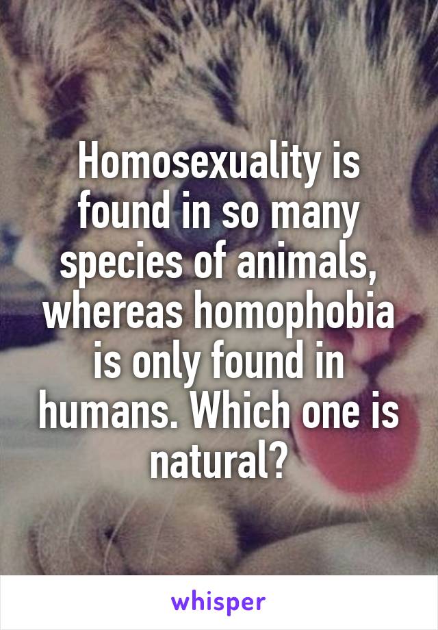 Homosexuality is found in so many species of animals, whereas homophobia is only found in humans. Which one is natural?