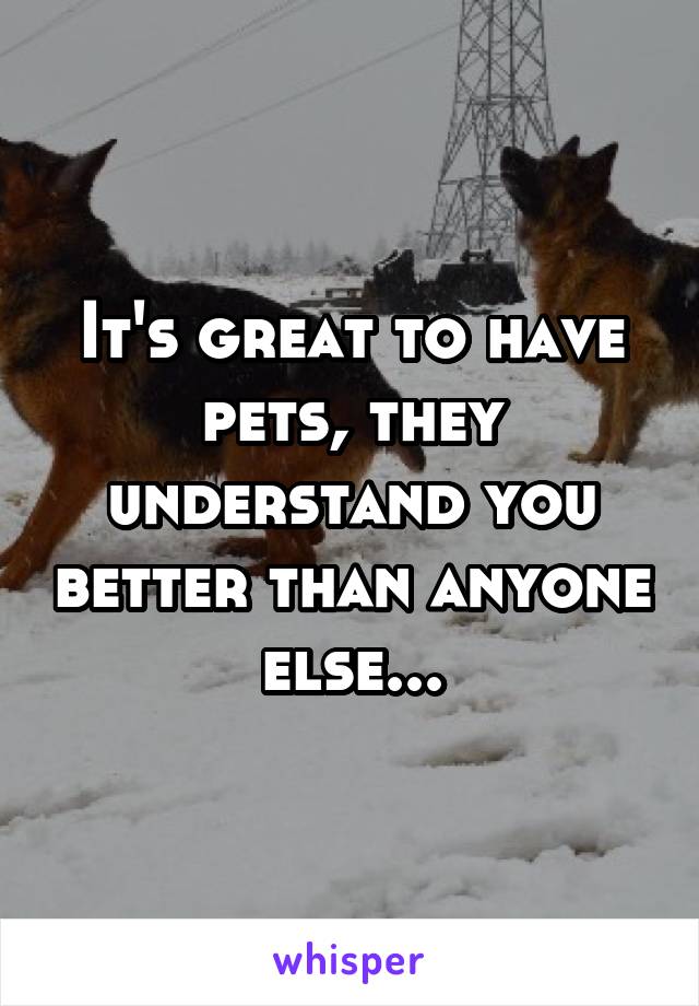 It's great to have pets, they understand you better than anyone else...