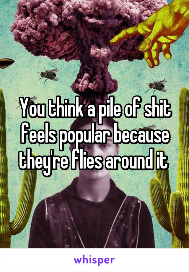 You think a pile of shit feels popular because they're flies around it 