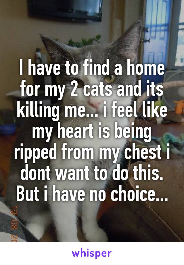 I have to find a home for my 2 cats and its killing me... i feel like my heart is being ripped from my chest i dont want to do this. But i have no choice...