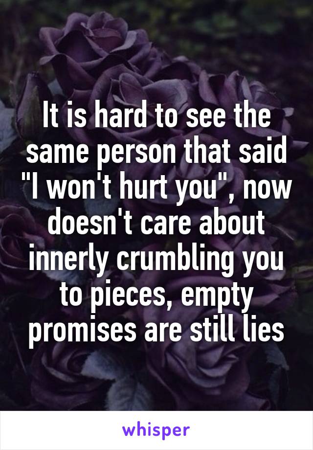 It is hard to see the same person that said "I won't hurt you", now doesn't care about innerly crumbling you to pieces, empty promises are still lies