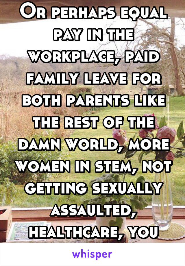 Or perhaps equal pay in the workplace, paid family leave for both parents like the rest of the damn world, more women in stem, not getting sexually assaulted, healthcare, you know the uge.