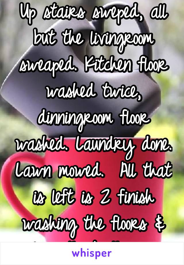 Up stairs sweped, all but the livingroom sweaped. Kitchen floor washed twice, dinningroom floor washed. Laundry done. Lawn mowed.  All that is left is 2 finish washing the floors & clean the bathroom 