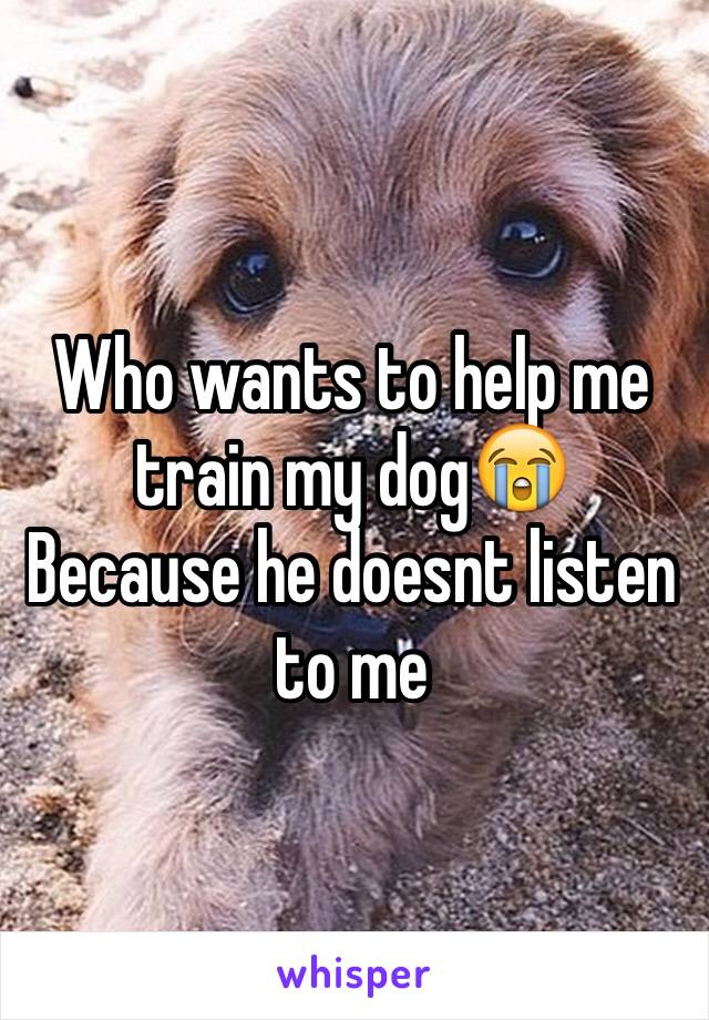 Who wants to help me train my dog😭 
Because he doesnt listen to me