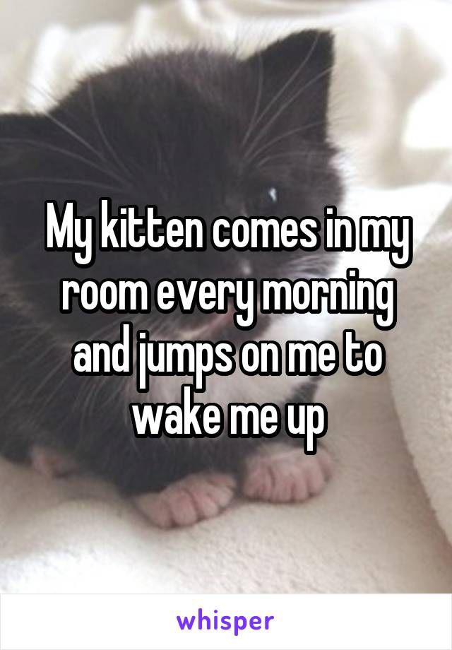 My kitten comes in my room every morning and jumps on me to wake me up