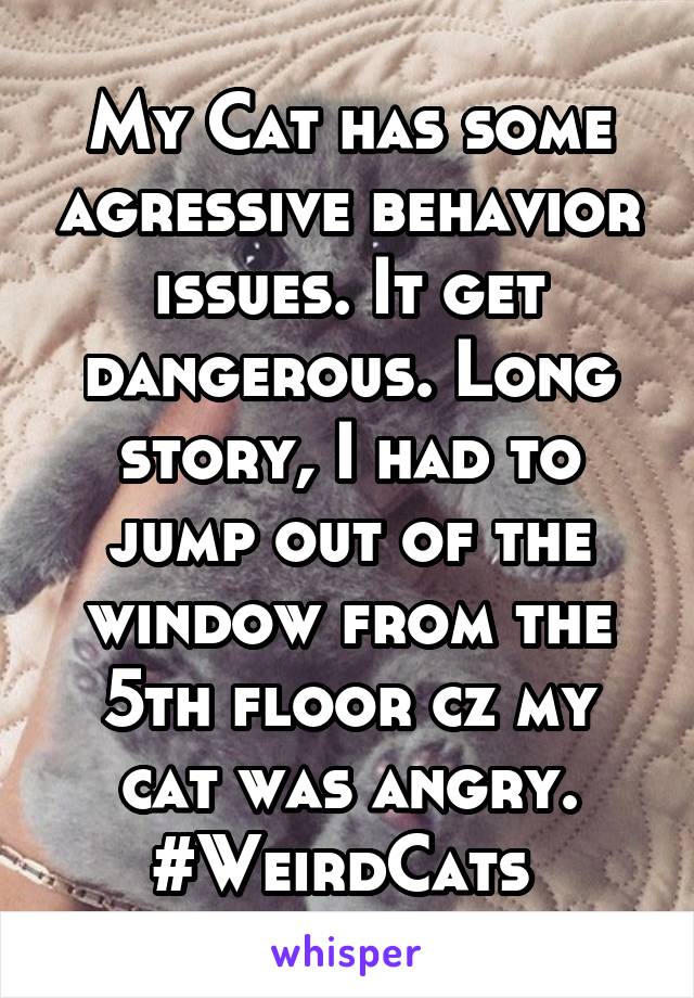 My Cat has some agressive behavior issues. It get dangerous. Long story, I had to jump out of the window from the 5th floor cz my cat was angry.
#WeirdCats 