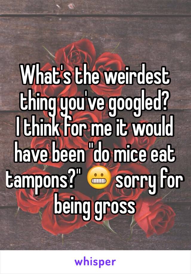 What's the weirdest thing you've googled? 
I think for me it would have been "do mice eat tampons?" 😬 sorry for being gross 