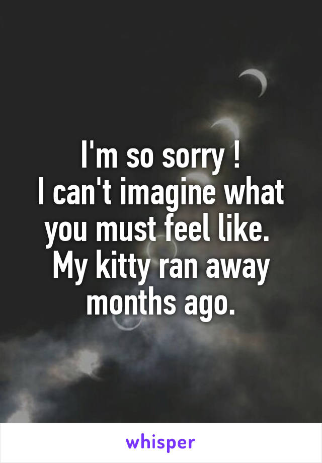 I'm so sorry !
I can't imagine what you must feel like. 
My kitty ran away months ago.