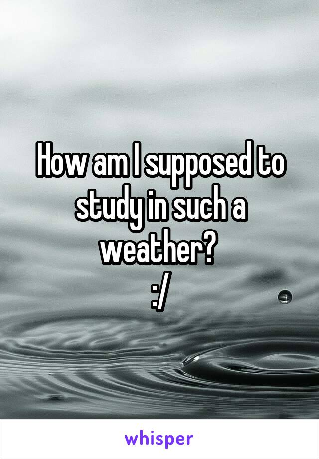 How am I supposed to study in such a weather? 
:/