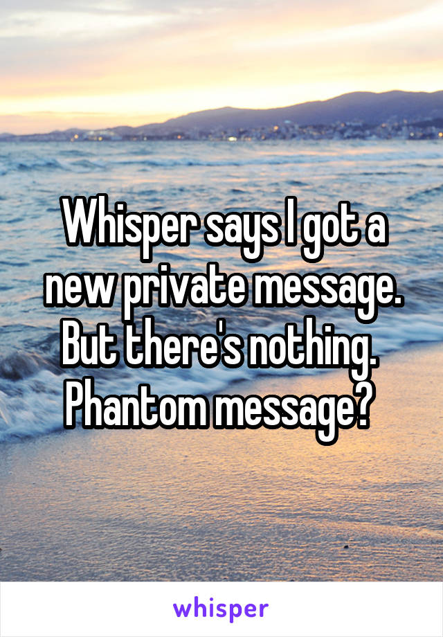 Whisper says I got a new private message. But there's nothing. 
Phantom message? 