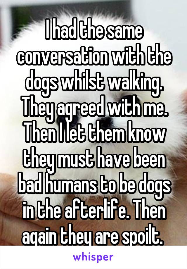 I had the same conversation with the dogs whilst walking. They agreed with me. Then I let them know they must have been bad humans to be dogs in the afterlife. Then again they are spoilt. 