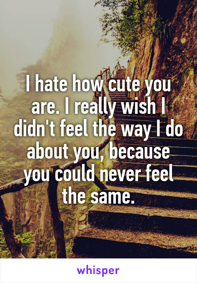 I hate how cute you are. I really wish I didn't feel the way I do about you, because you could never feel the same.