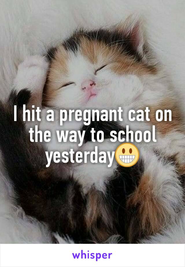 I hit a pregnant cat on the way to school yesterday😀