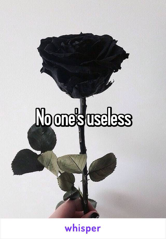 No one's useless