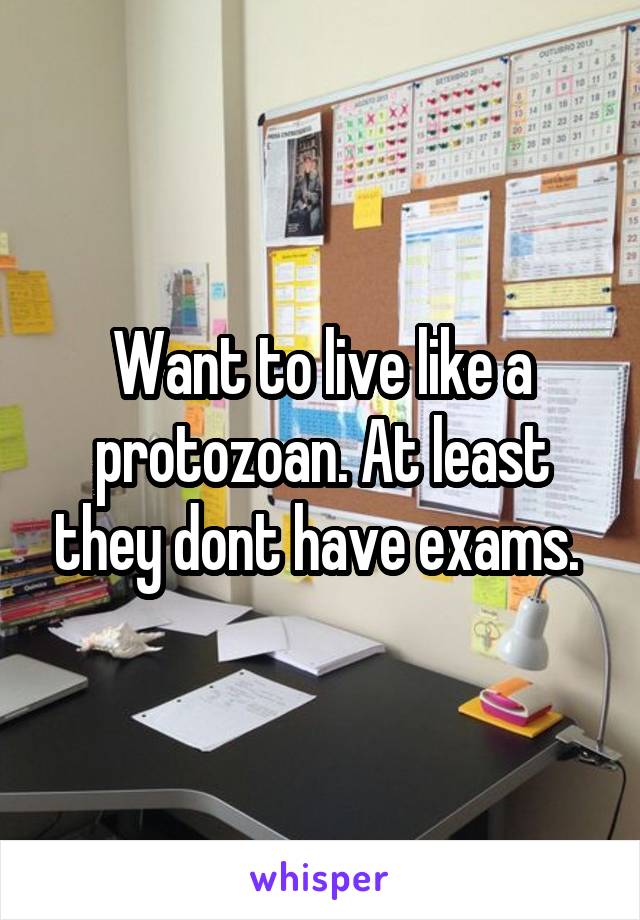 Want to live like a protozoan. At least they dont have exams. 