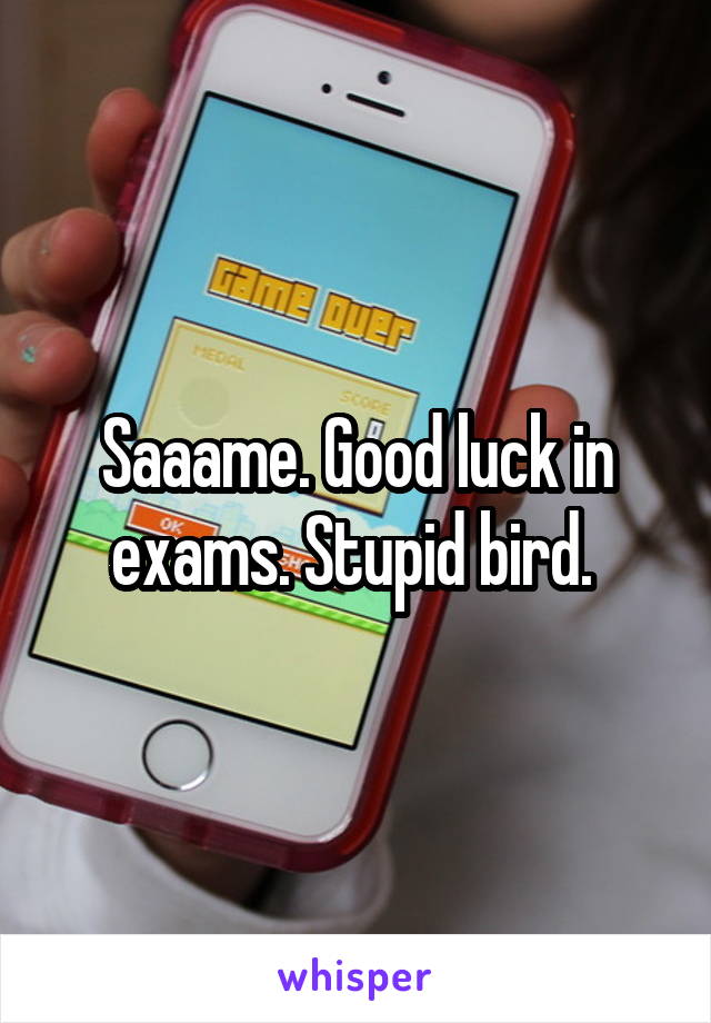 Saaame. Good luck in exams. Stupid bird. 