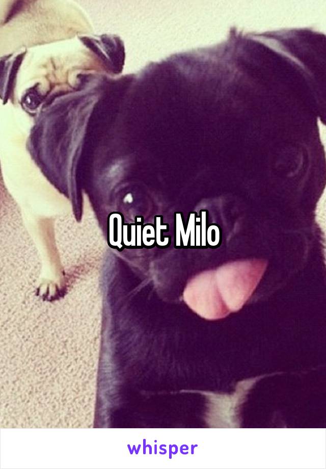 Quiet Milo