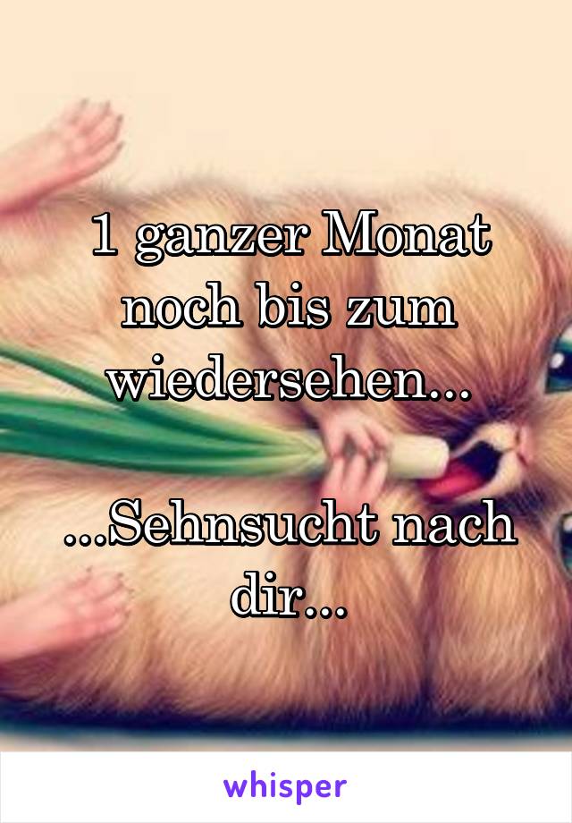 1 ganzer Monat noch bis zum wiedersehen...

...Sehnsucht nach dir...