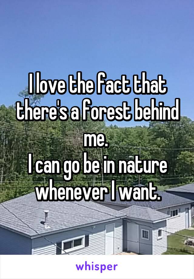 I love the fact that there's a forest behind me. 
I can go be in nature whenever I want.