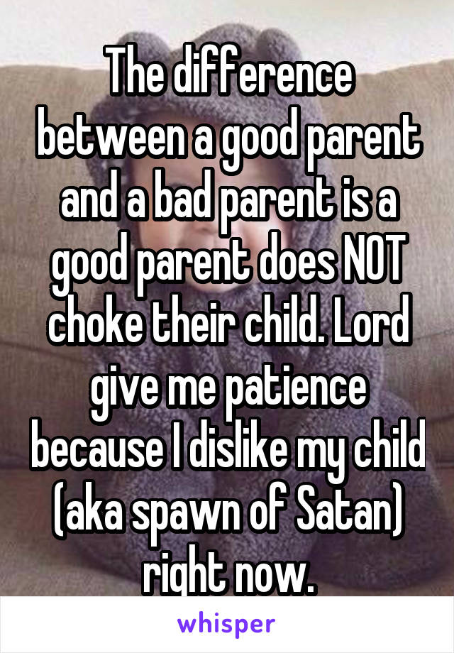 The difference between a good parent and a bad parent is a good parent does NOT choke their child. Lord give me patience because I dislike my child (aka spawn of Satan) right now.