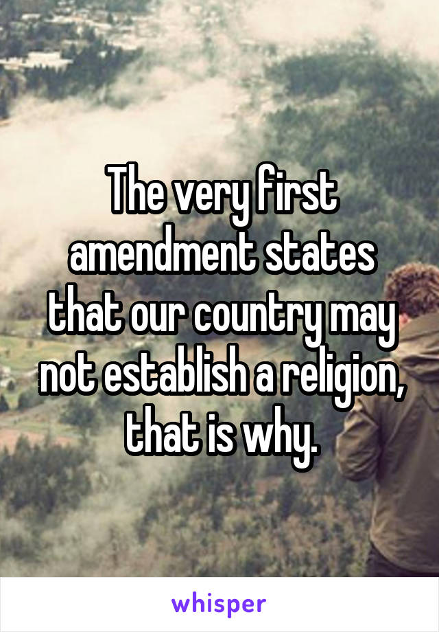 The very first amendment states that our country may not establish a religion, that is why.