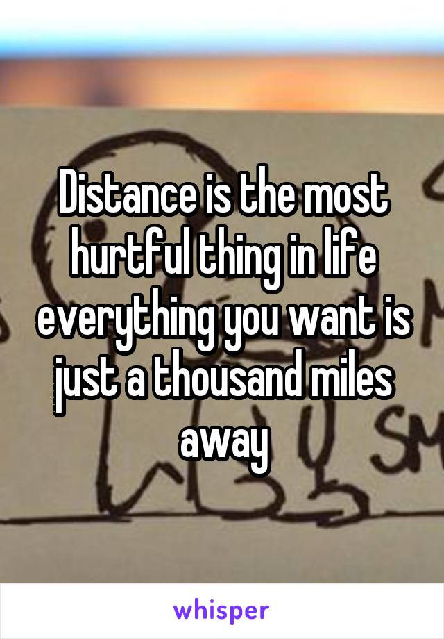 Distance is the most hurtful thing in life everything you want is just a thousand miles away