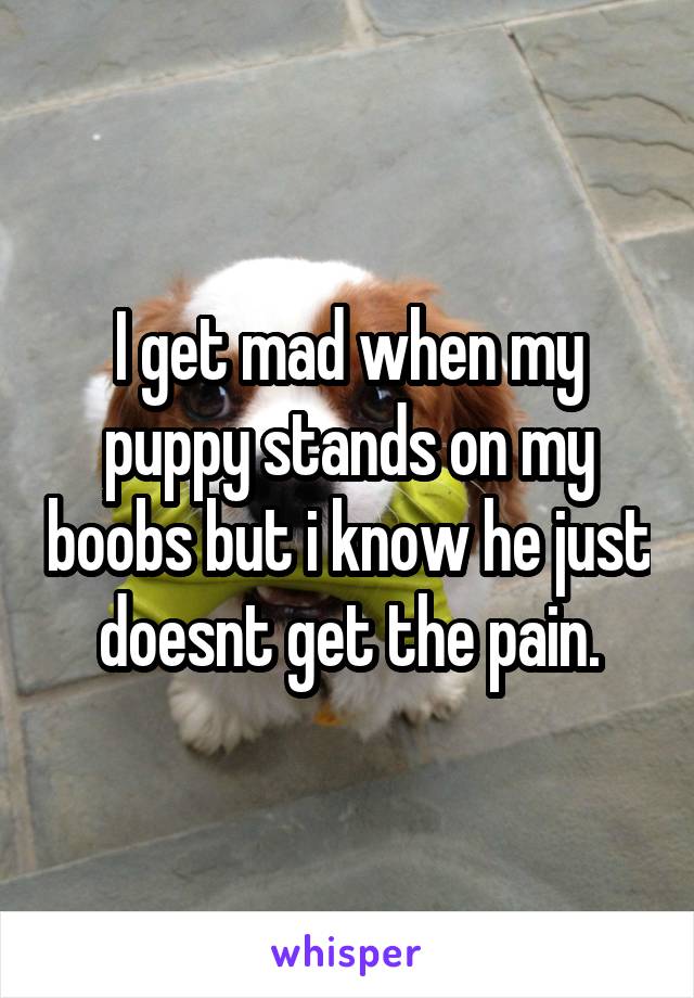 I get mad when my puppy stands on my boobs but i know he just doesnt get the pain.