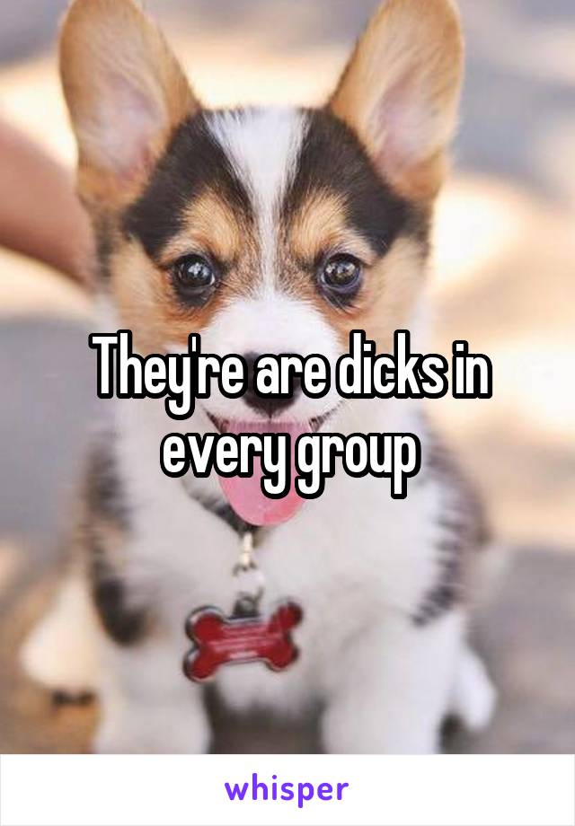 They're are dicks in every group