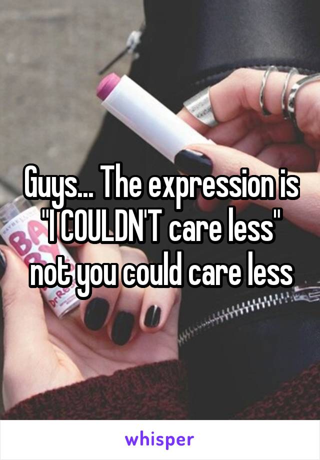 Guys... The expression is "I COULDN'T care less" not you could care less