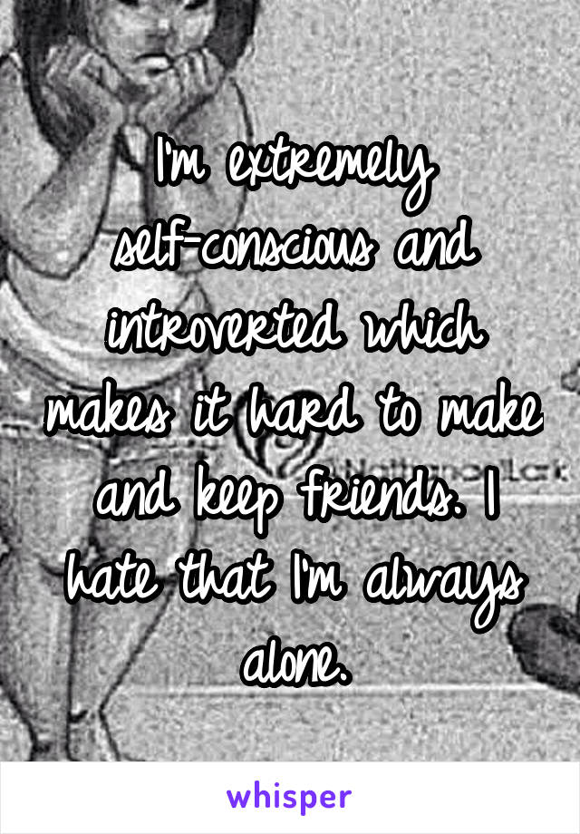 I'm extremely self-conscious and introverted which makes it hard to make and keep friends. I hate that I'm always alone.