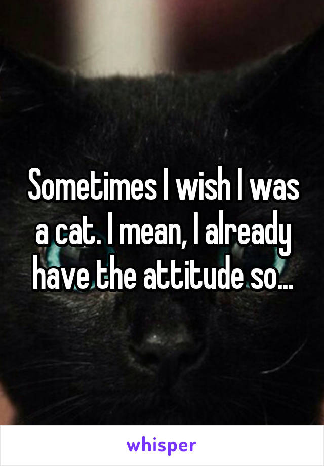 Sometimes I wish I was a cat. I mean, I already have the attitude so...